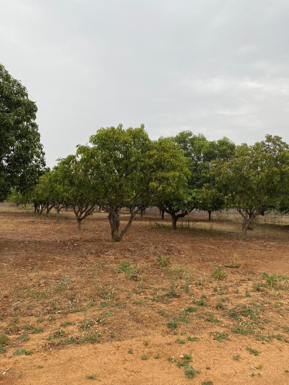 Pn Farm Villa ไฮเดอราบัด ภายนอก รูปภาพ